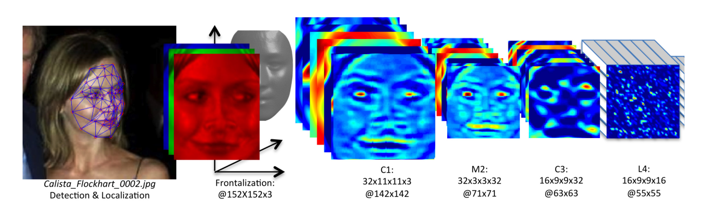 A scientific diagram shows the process by which a photograph of Calista Flockhart is transformed into data